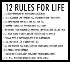 12 rules for life jordan peterson