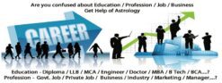 Business & Career