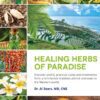Healing-Herbs-Paradise-Practical-Treatments