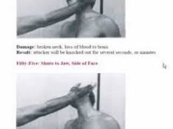 100-Deadliest-Karate-Moves