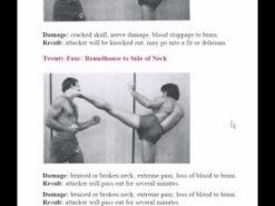 Buy-100-Deadliest-Karate-Moves-Tes-Gambordella-Survival -raining-Info