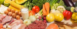 Food & Nutrition