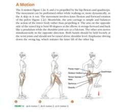 A Motion
