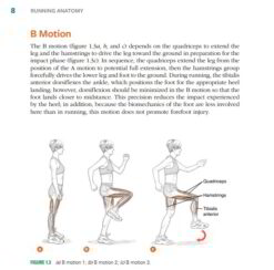 B Motion