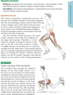 Muscles Involved