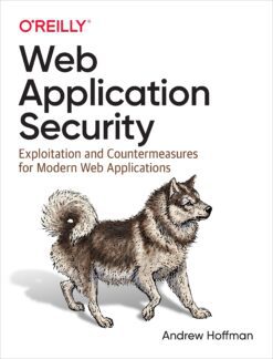 Web Application Security eBook