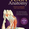 Yoga Anatomy - Leslie Kaminoff eBook