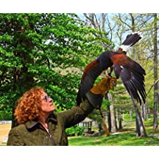Kate Rowinski Author
